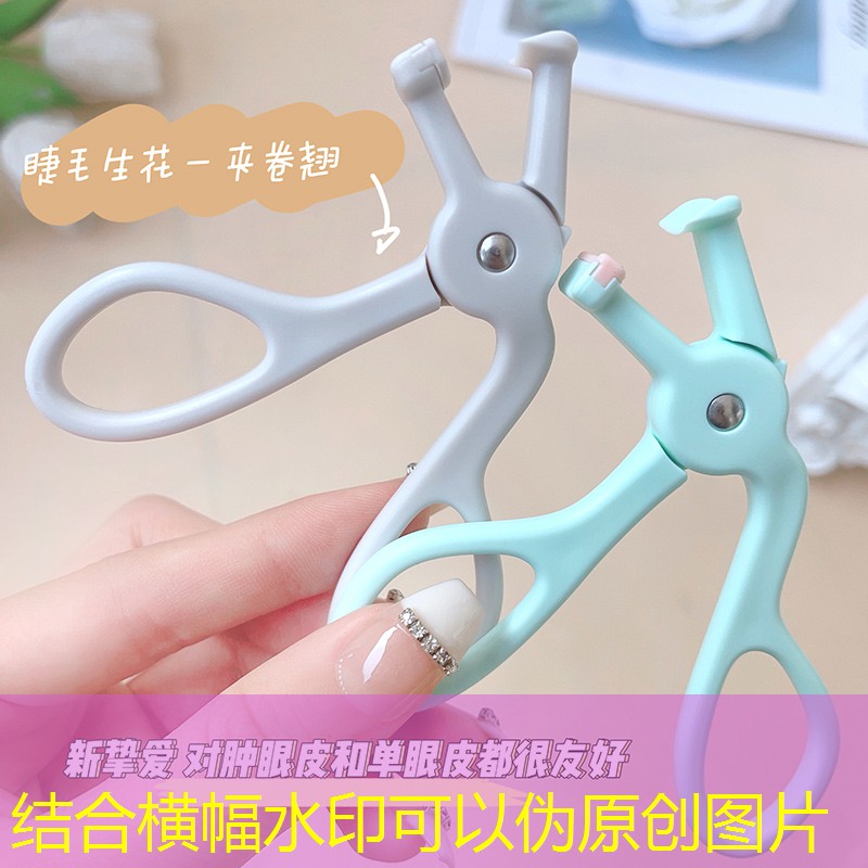 沈阳城市绿化工作 沈阳城市绿化工作