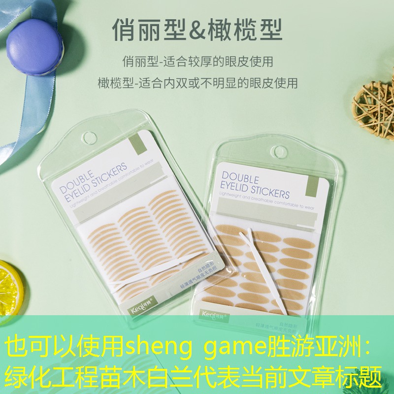 绿化工程苗木白兰 绿化工程苗木白兰