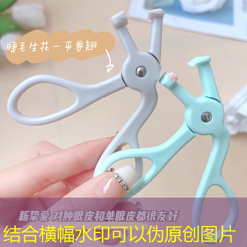 希宇园林绿化工程 希宇园林绿化工程